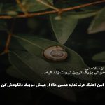 دانلود آهنگ دلت تهرون چشات از محسن چاوشی (ریمیکس ترند)